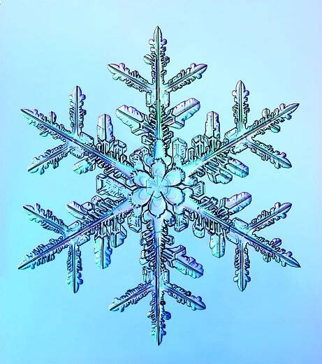This Book Is A Complete Guide To The Science Of Snowflakes