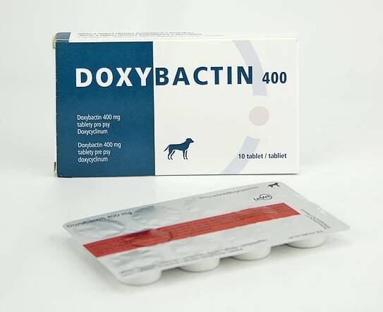 New product DOXYBACTIN – Sevaron
