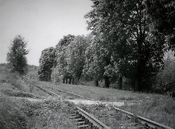 Heřmanice v Podještědí