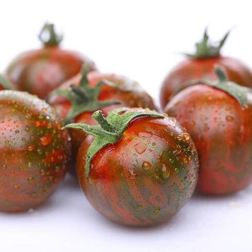 Osivo rajčat – Rajče Tigrino – Solanum lycopersicum