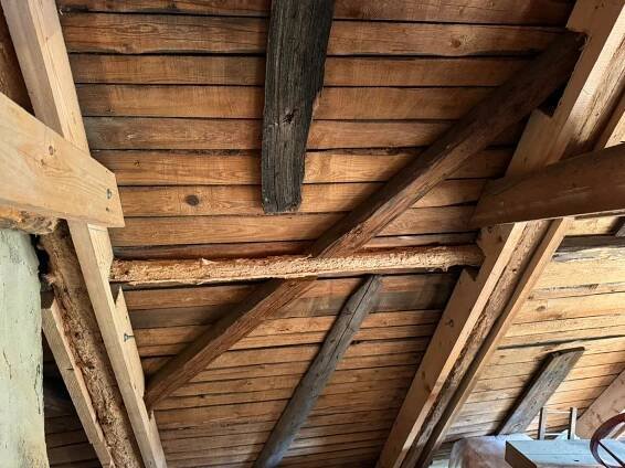 Ošetření, impregnace a sanace krovů | Liberecký kraj | Ošetření dřeva