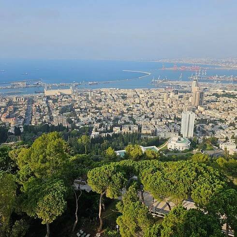 DAN CARMEL HAIFA - Updated 2025 Prices & Hotel Reviews (Israel)