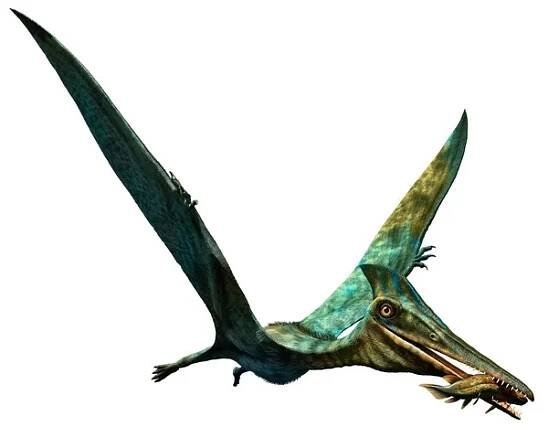 Pterodactylus prehistorický dinosaurus 3D ilustrace — Stock obrázek