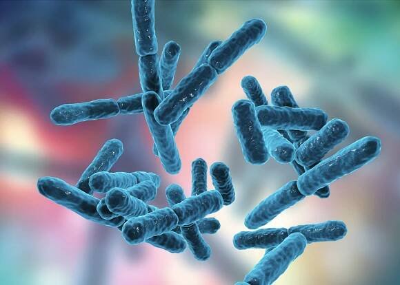 New Study Shows US Infants Lack Bifidobacterium - Holistic Primary Care