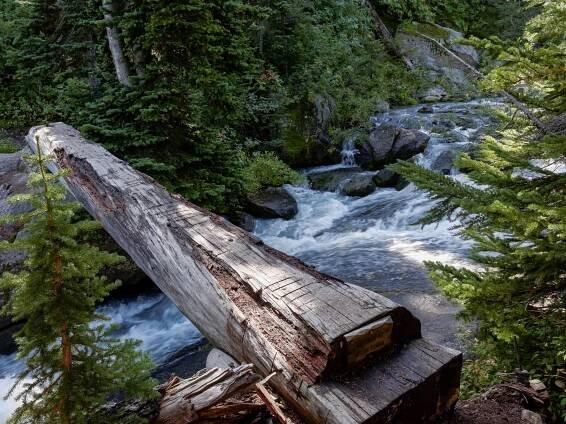 Spider Gap, Buck Creek Pass – Glacier Peak Wilderness (40 mile loop)