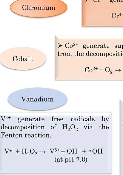 (PDF) Toxicity of heavy metals