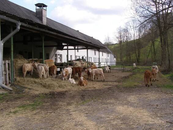 Soubor:Metylovice, Dolní Konec, kravín 04.jpg – Wikipedie