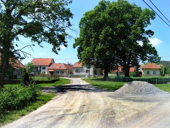 Střemchoví