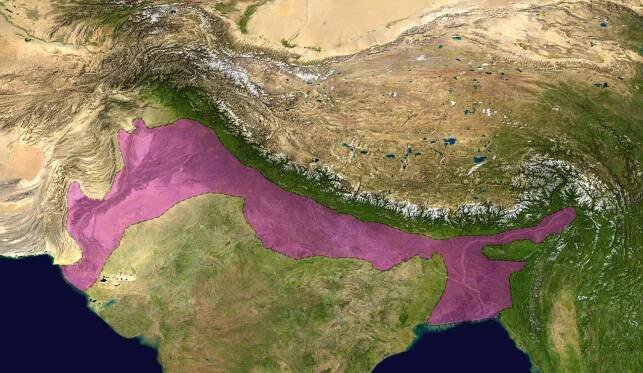 Himalayan foreland basin