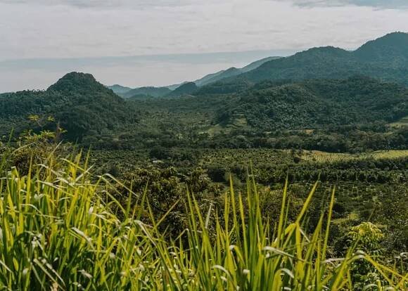 Maya Mountains along the Belize Hummingbird Highway