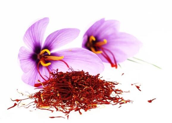 Kashmir Kesar Leader|Best indian saffron dealers|kashmiri zaffran Suppliers|kashmiri kesar brands