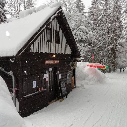 MUMLAVSKA BOUDA, Harrachov - Restaurant Reviews, Photos & Phone Number - Tripadvisor