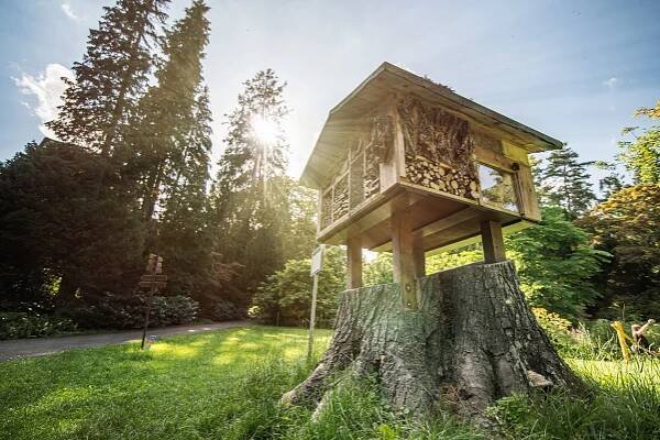 STĚBOŘICE: Arboretum Nový Dvůr - Kamil Vitásek Foto
