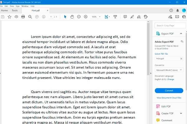 adobe acrobat reader interface