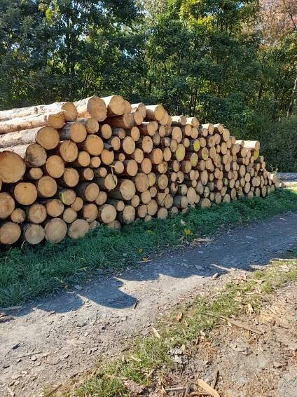 ForesTrade: Prodejní jednotka číslo 72021 - 028