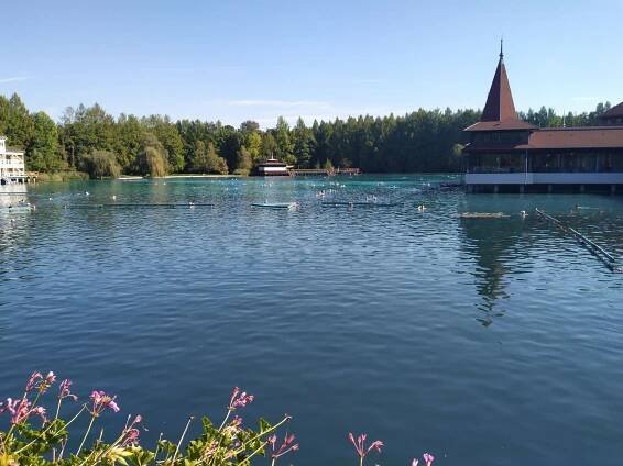 Hévízi-tó aneb Hévízské termální jezero • Maďarsko • Kudy kam