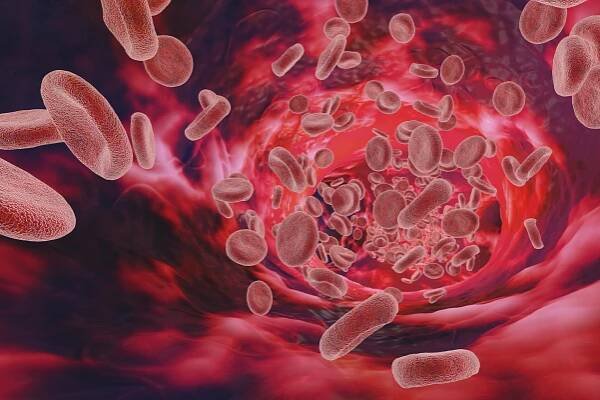 What Do Low Hematocrit and Hemoglobin Mean?