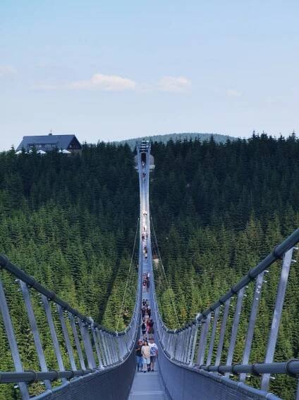 Der Blick über die Skybridge - am Horizont siehst du das Brückenportal. Dort ist der Start für den Besuch auf der Hängebrücke.