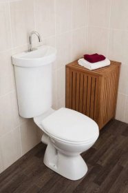 WC s umyvadlem na cisterně (41 fotografií): komba, v kombinaci s umyvadlem v koupelně, krásné příklady modelů "dva v jednom