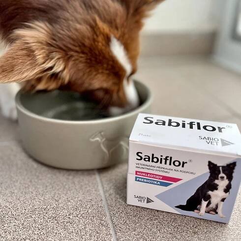 sabiflor5