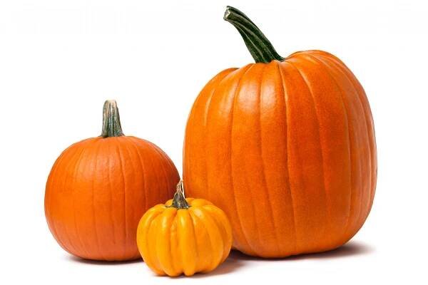 dýně izolované na bílé s ořezovou cestou - pumpkin - stock snímky, obrázky a fotky