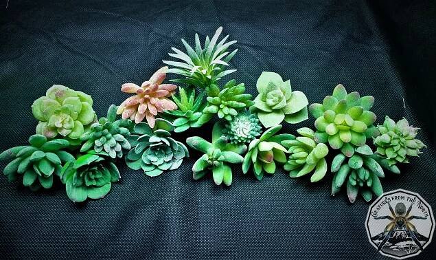 Artificial succulent M