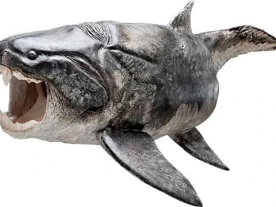 Evolution's Bite: Ancient Armored Fish Was Toothy, Too