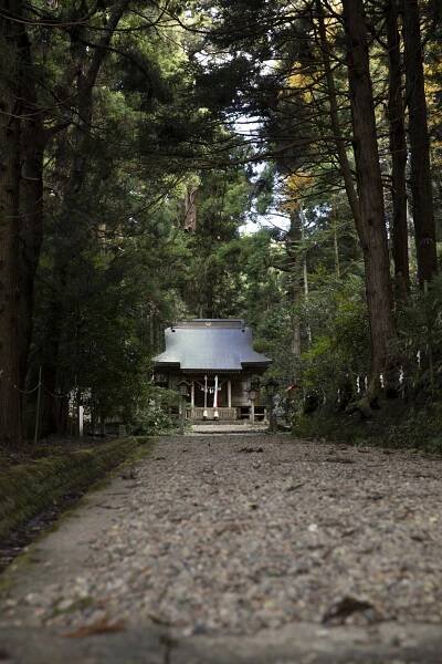 The Koganeyama Gold Deposits | The Story of Michinoku Gold