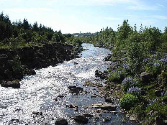Soubor:Ellirardalur11.JPG – Wikipedie