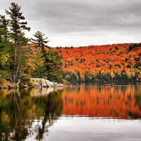 Fall Landscapes in Algonquin Park