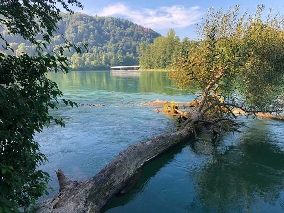 Flaach – Singletrail Traum – Buochserhorn