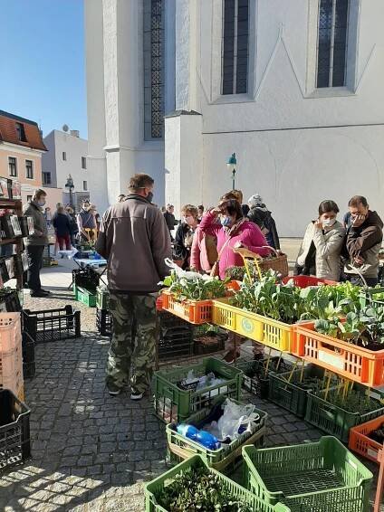 OBRAZEM: Na Piarisťák se vrátili prodávající i nakupující