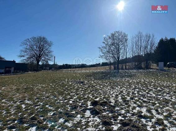 Prodej Pozemek, České Petrovice, okres Ústí nad Orlicí
