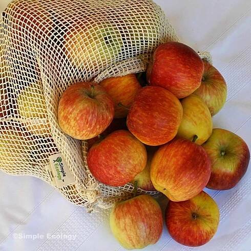 Mesh Red Delicious Apples SW.jpg