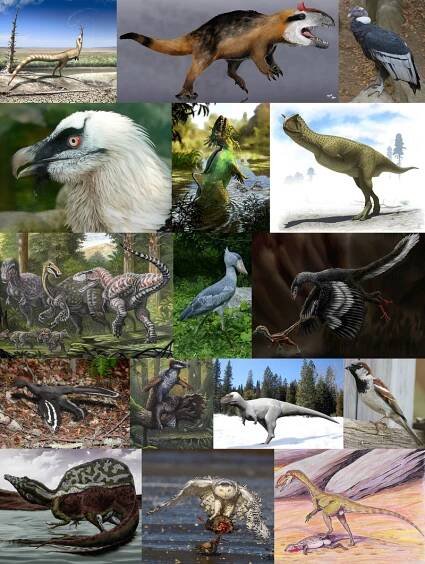 What is a Dinosaur? – Astronotes