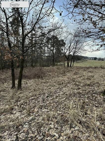 Prodej Pozemek, Bohuslavice, okres Prostějov