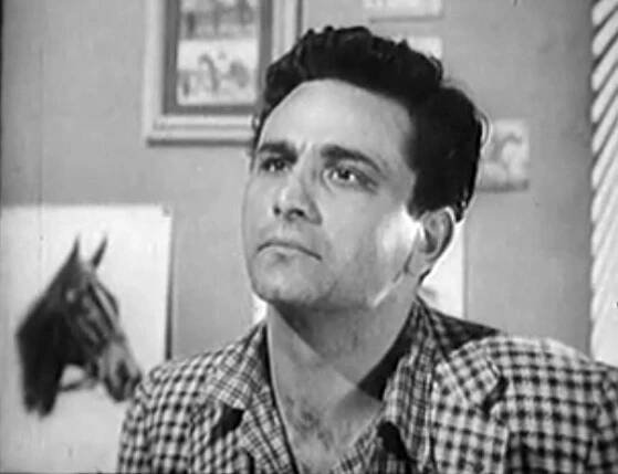 Peter Falk - Wikipedia