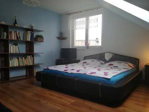 pokoj třílůžkový - rekreační dům ubytování Mikulov - foto 5