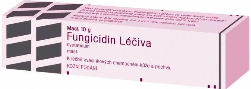 FUNGICIDIN LÉČIVA DRM 100000IU/G UNG 10G