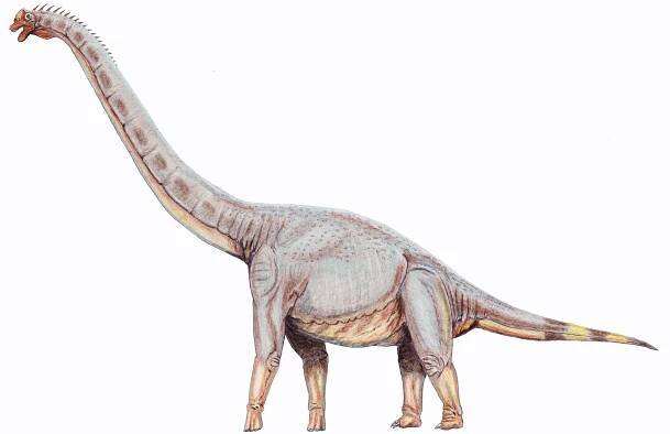 Sonorasaurus
