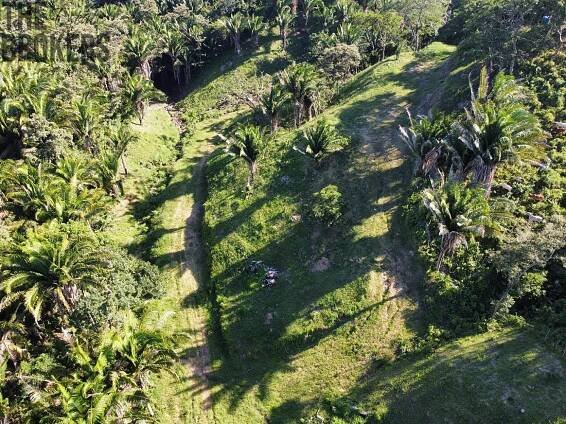 Falcon Valley Lot 11 Santos Guardiola, Roatan | Reality.iDNES.cz 