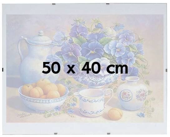 BFHM Euroclip 50 x 40 cm
