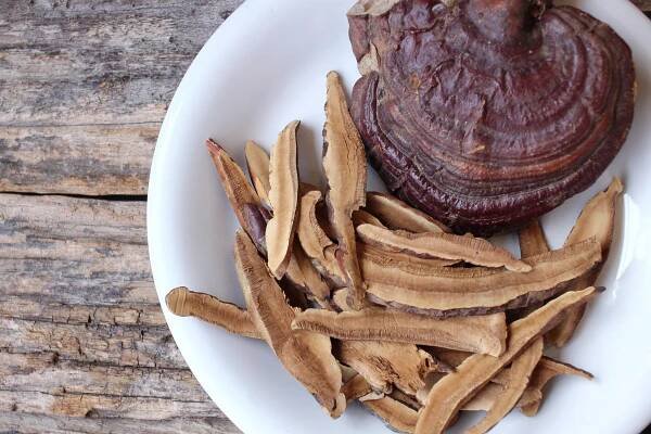 Není Reishi jako Reishi