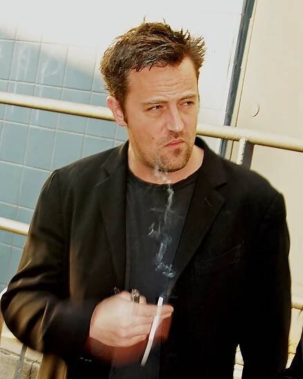 Soubor:Matthew Perry by David Shankbone (cropped).jpg – Wikipedie