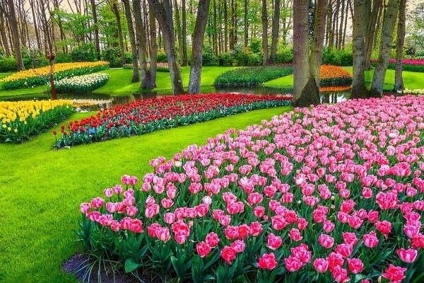 Na výlet do Holandska: tulipány v Keukenhofu, Amsterdam, sýry i památky