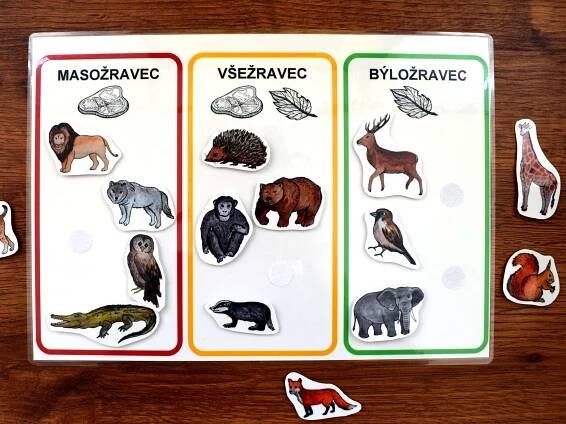 MASOŽRAVEC, VŠEŽRAVEC, BÝLOŽRAVEC - Image 2