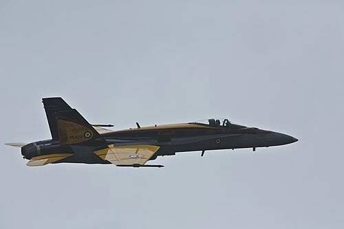McDonnell Douglas CF-18 Hornet - Wikipedia