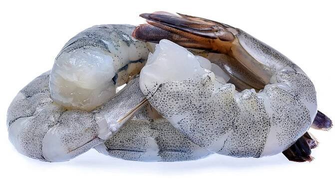 close up of raw shrimp headless with tails