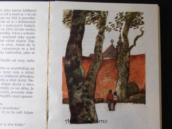 Adam a Otka : Pro čtenáře od 7 let : Četba pro žáky zákl. škol, 1987