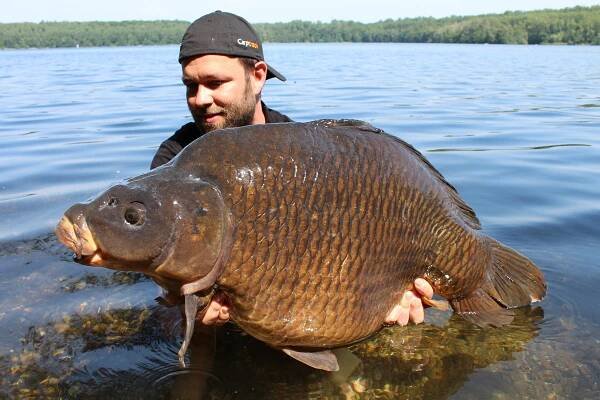 Imperial Baits Boilies Elite Strawberry 24mm 1kg | Rybářství Carpio